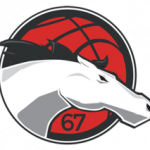 Logo Leicester Riders